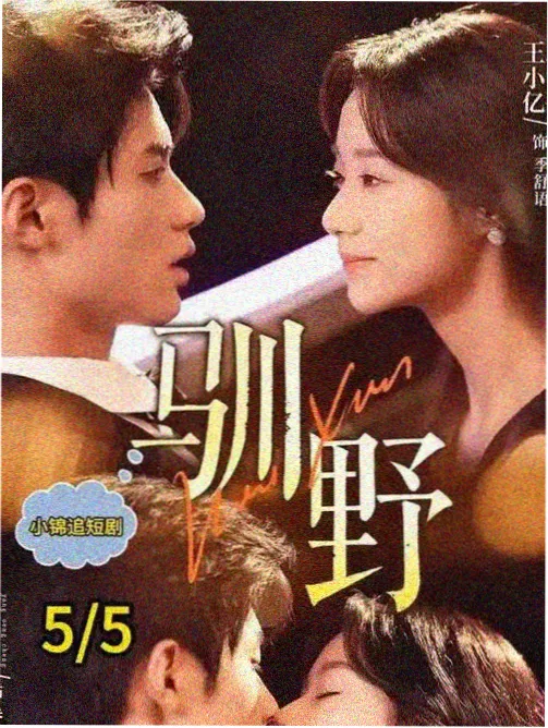 剧情电影冬泳海报